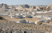 Exploration au cœur des oasis secrètes du désert