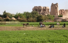 Temple de Kom Ombo - Marché de Daraw